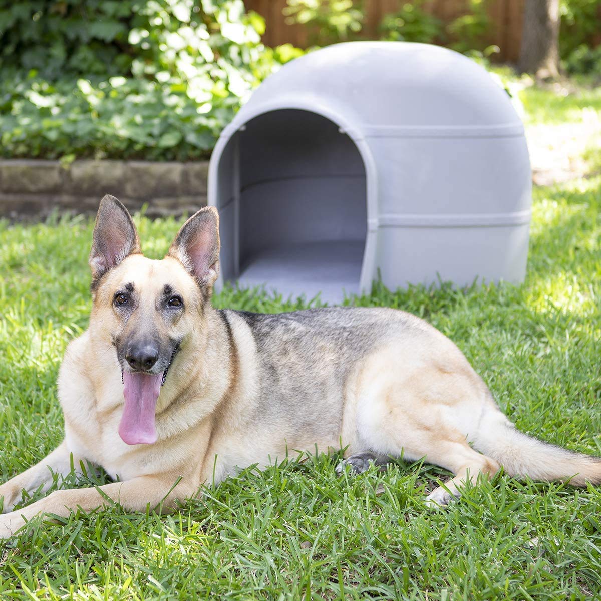 2025 Casa para Perros Petmate Husky – Para Perros de Gran Tamaño