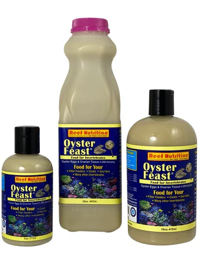 Oyster Feast
