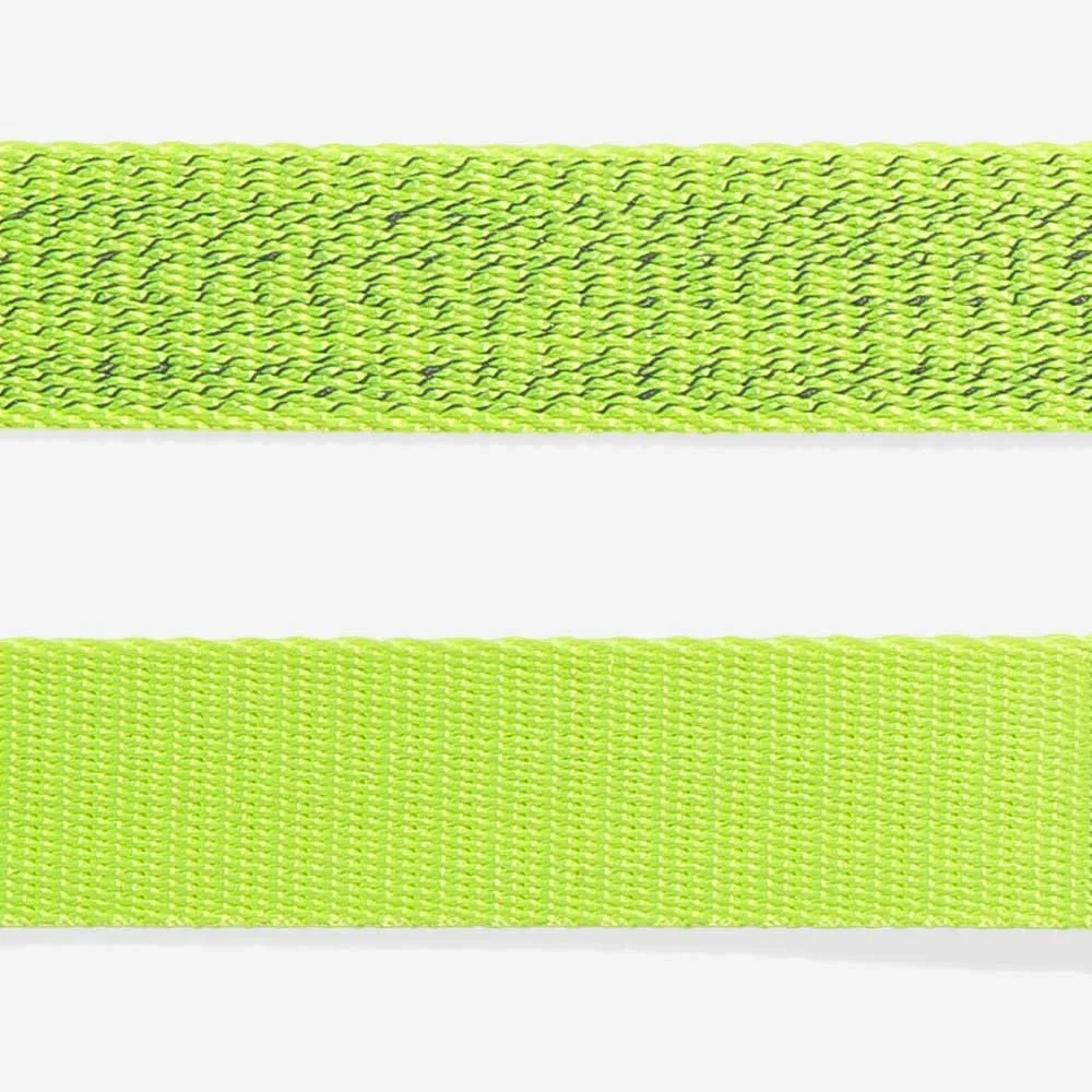NOX Lumen | Cat Harness with Leash