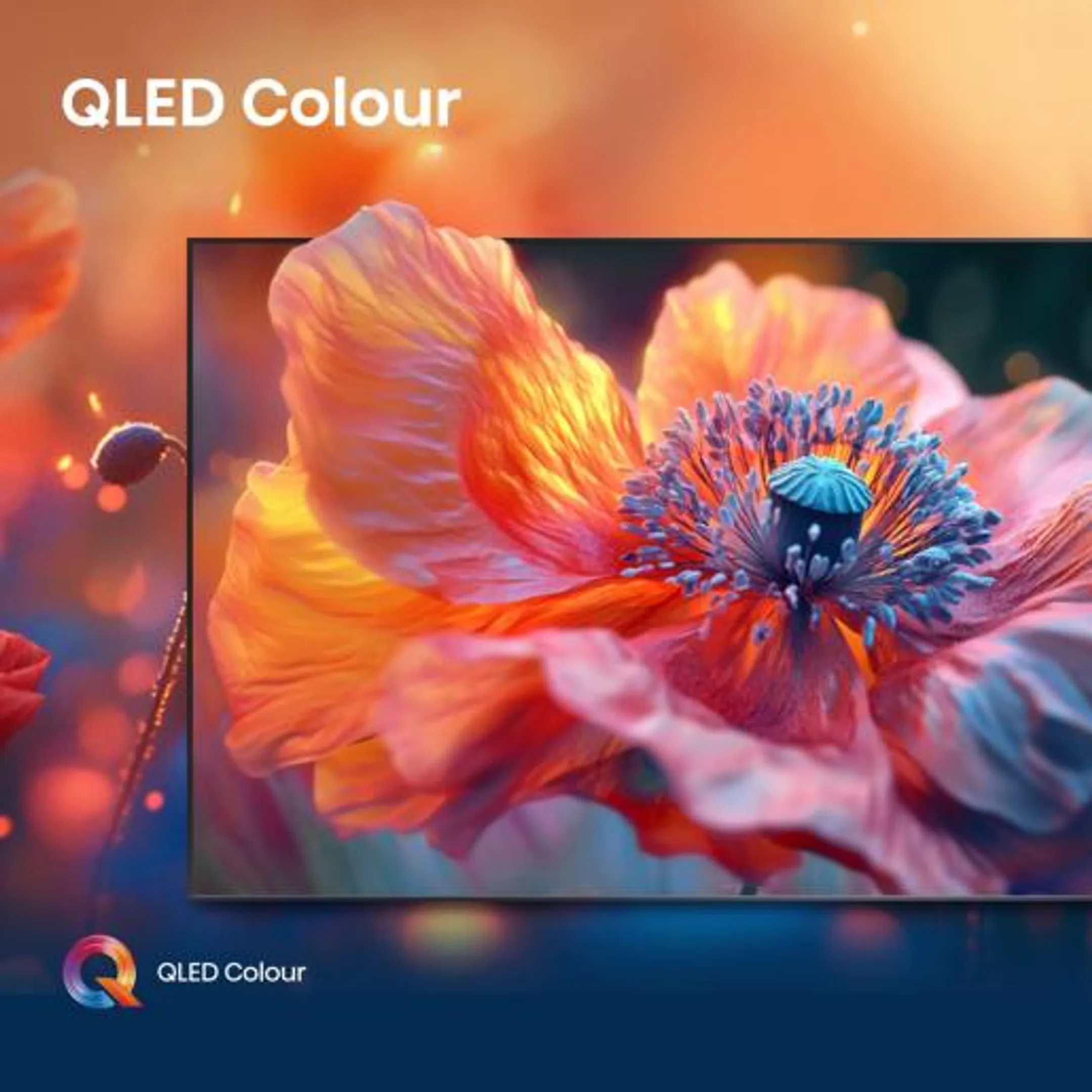 Hisense QLED 4K TV 75E79Q (2025) - 75 inch