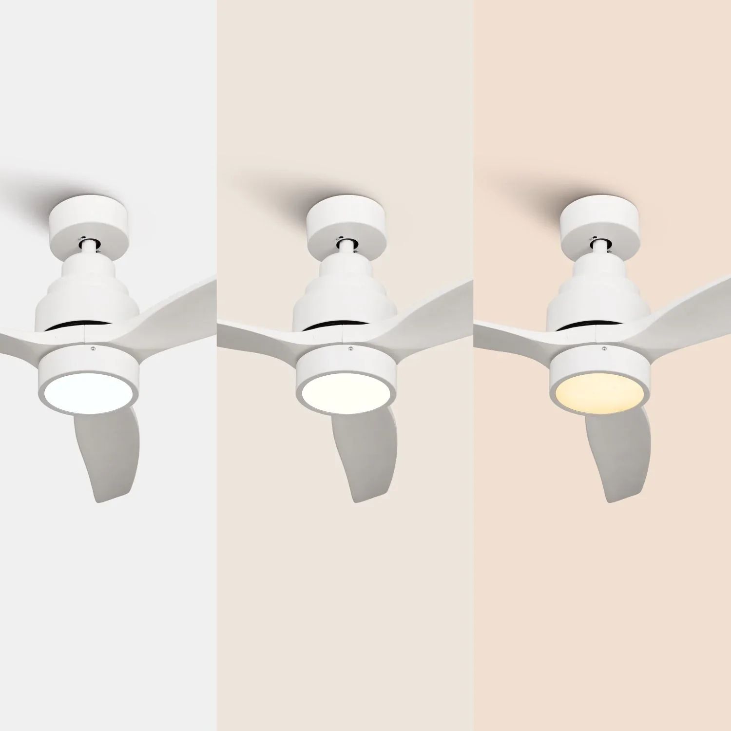 Brizy Bright White