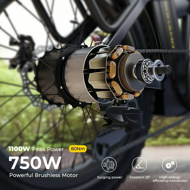 SOHAMO H3 Electric Bike for Adults 20
