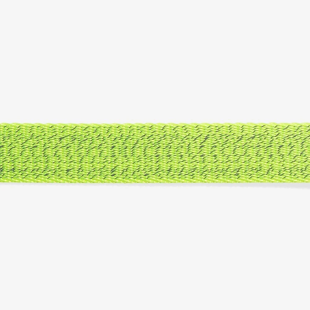 NOX Lumen | Collar