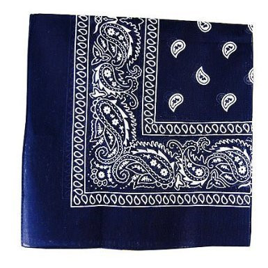 Navy Blue Bandana 22