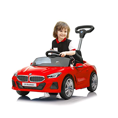 Voupou Toddlers Licensed Adjustable Birthday