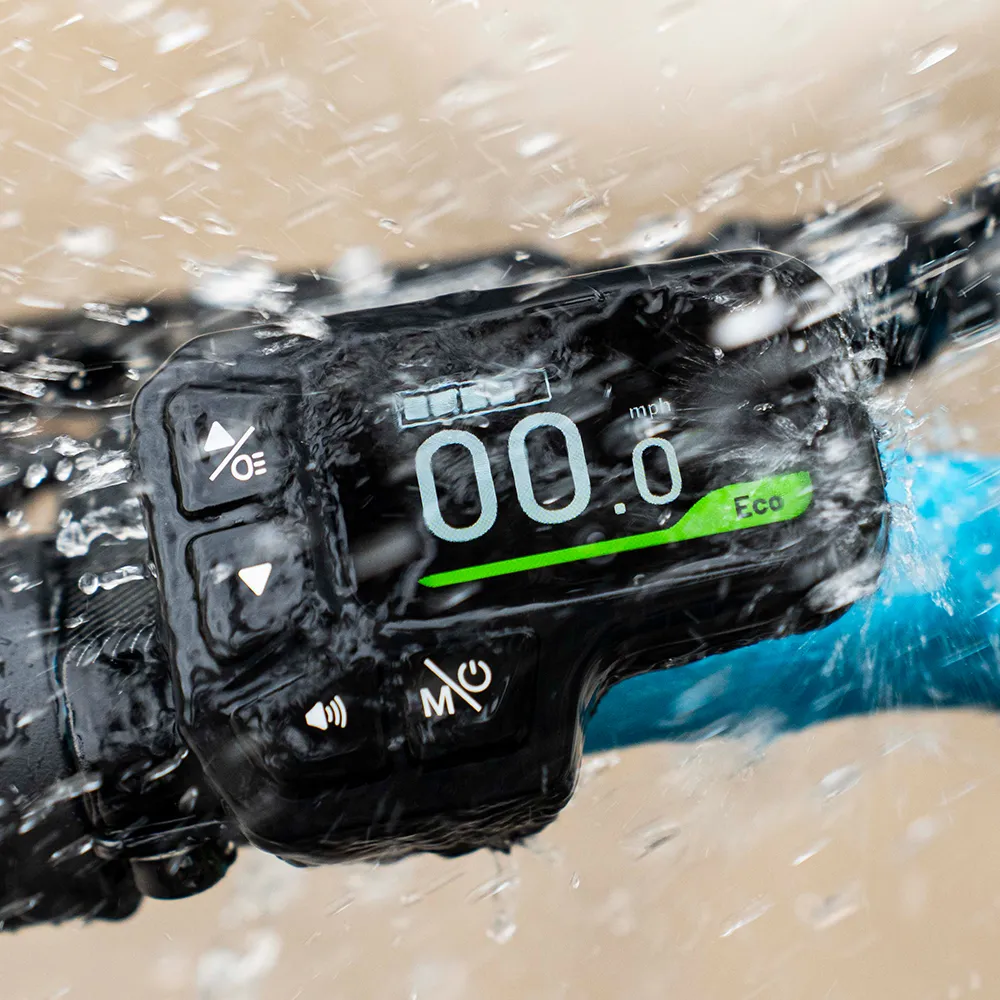 2025 Fiido M1 Pro Bicicleta eléctrica Big Wheel Fatbike