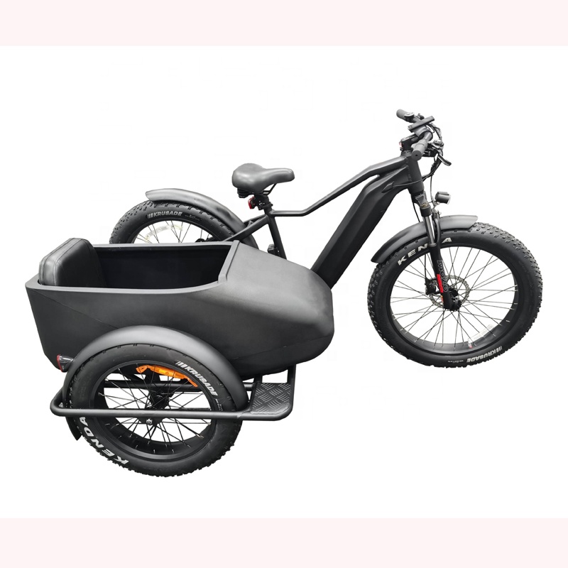 Electric tricycle OUKA-PNR03