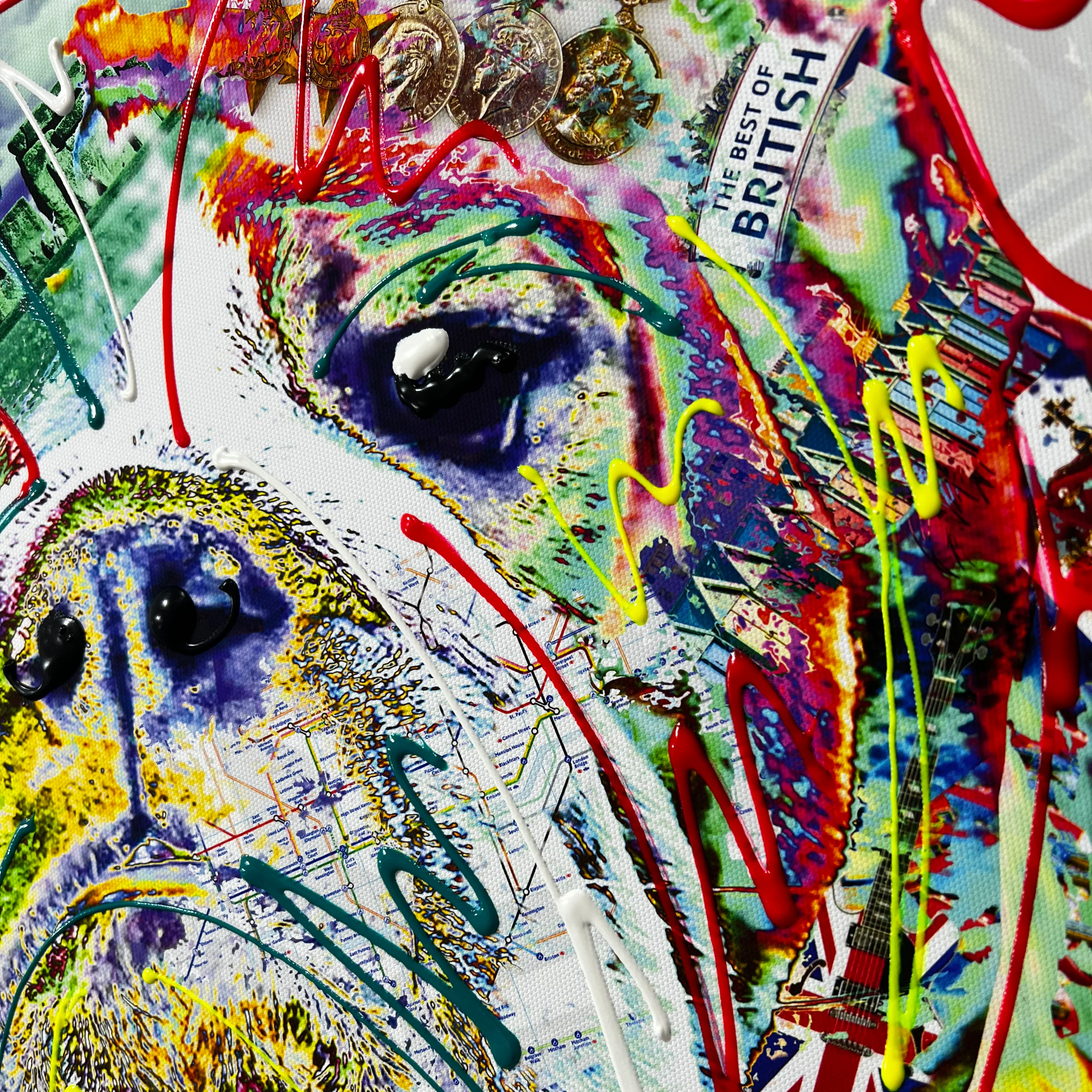 Atticus the Bulldog 2