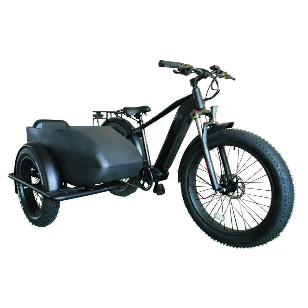Electric tricycle OUKA-PNR03