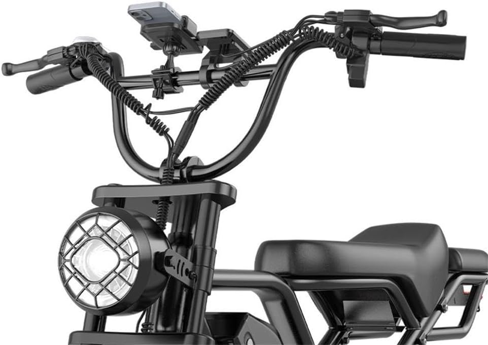 BK20 Electric Bike for Adults, 48 V, 20 Ah, Removable Battery, Large Range, Wide Tyres 20 x 4.0, Electric Mountain Bike, Electric Bike, All-Terrain Electric Bike.