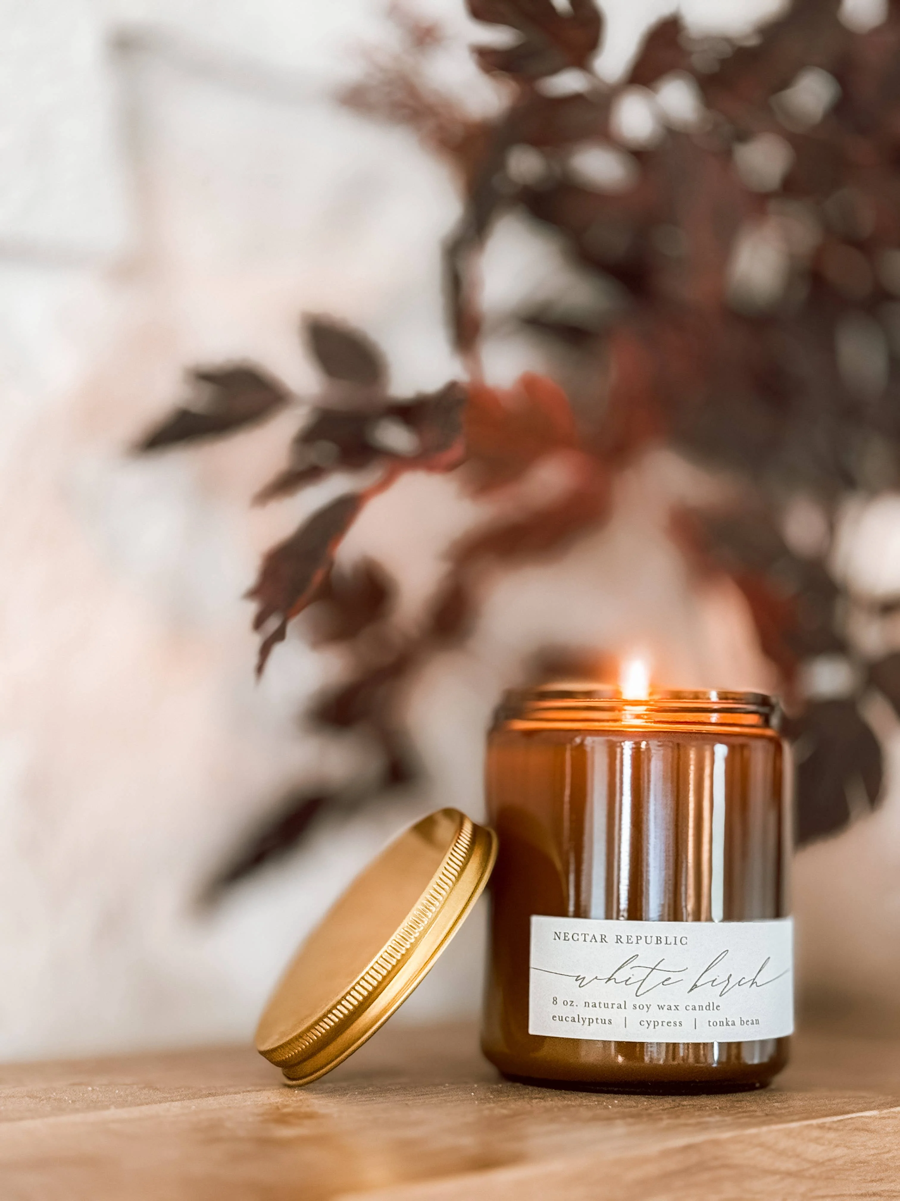White Birch : Jar Soy Candle Nectar Republic