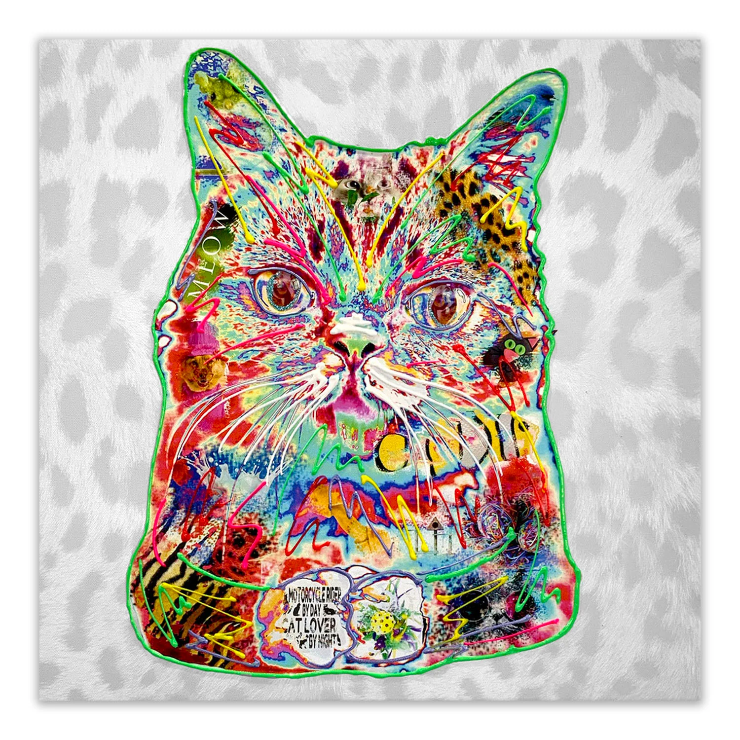 Cool Kitten