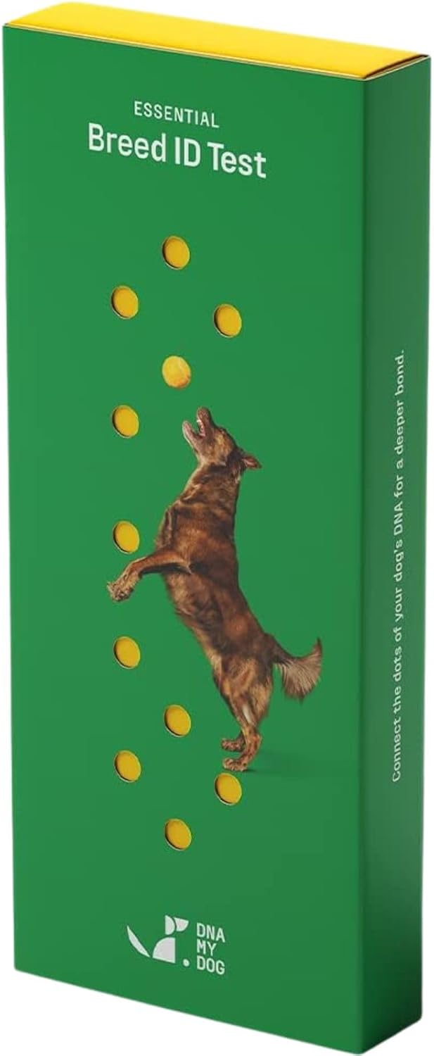 Dna My Dog Essential Breed ID Test �?Accurate Mixed Breed Identification & Personality Insights with Easy Cheek Swab