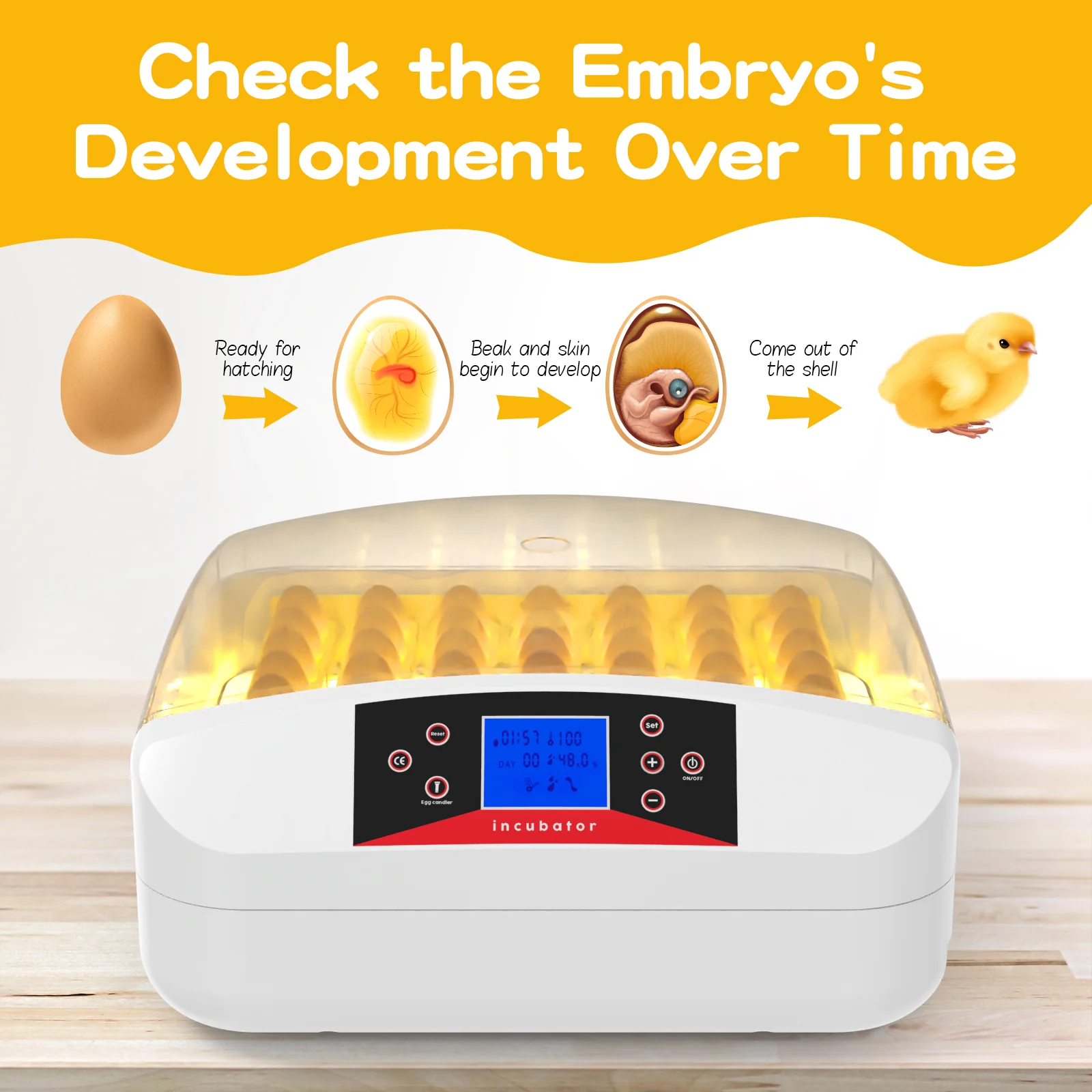 56 Egg Incubator Automatic Turning