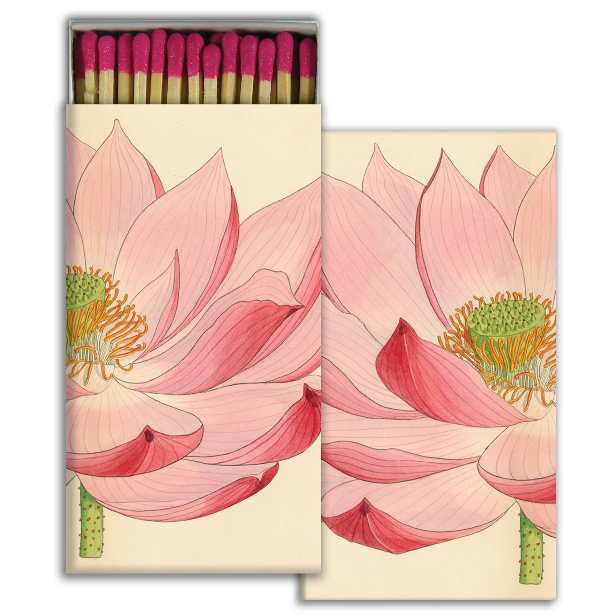 Matches - Pink Water Lily