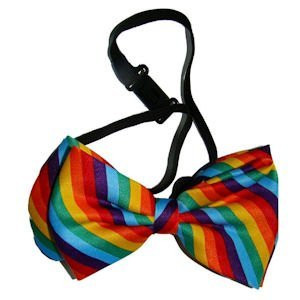 Rainbow Satin Men's Costume Clown Bow Tie 6842D