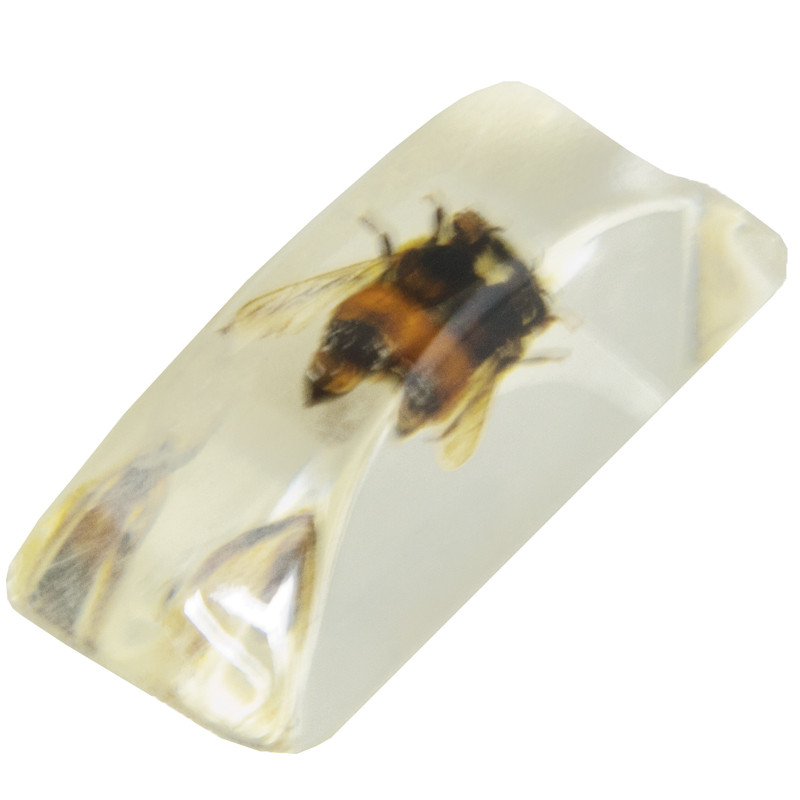 Bug Ice Cube 9016
