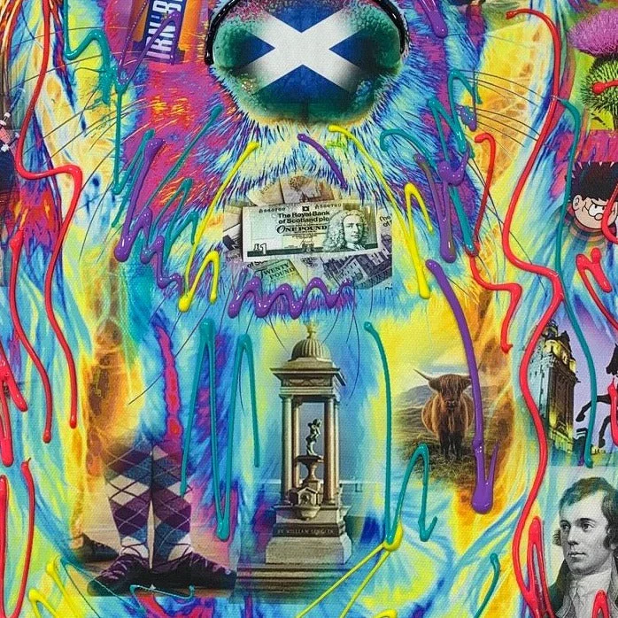 Scottish Spaniel