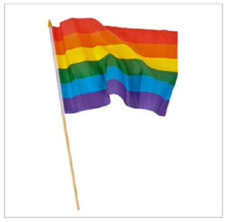 Rainbow Gay Pride Flags 12