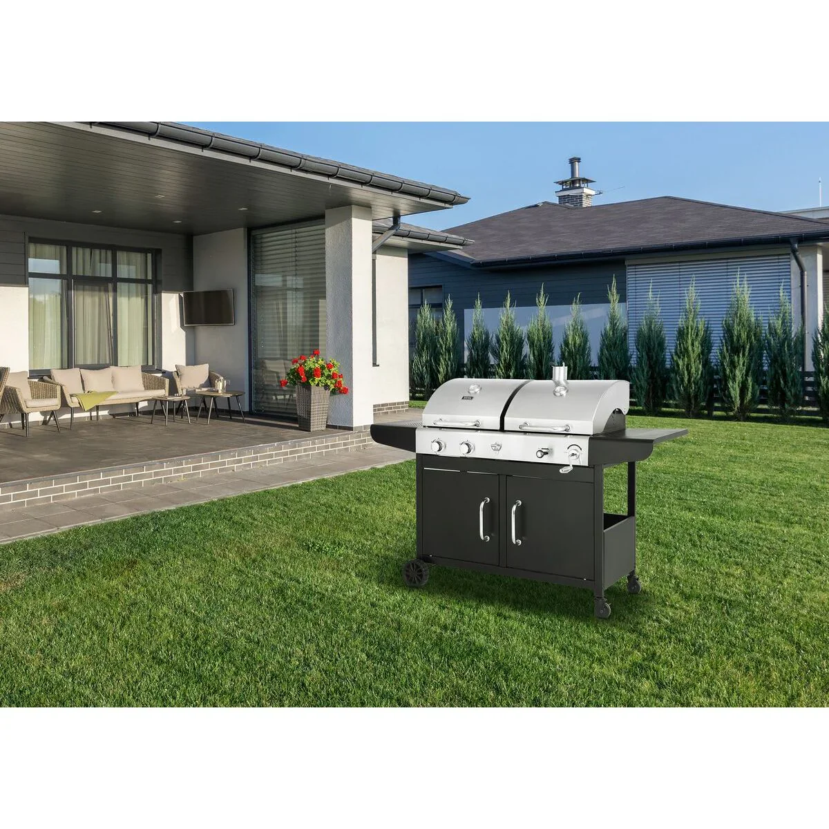 Barbacoa De Gas Y Carbón 
