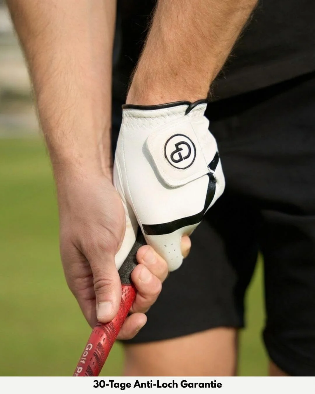 Cabretta Pro 2.0