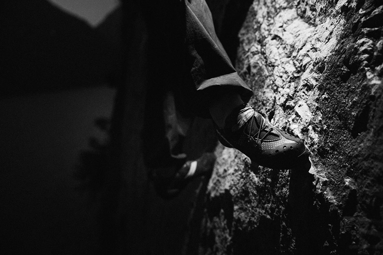 Blackbird