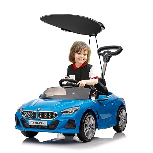 Voupou Toddlers Licensed Adjustable Birthday
