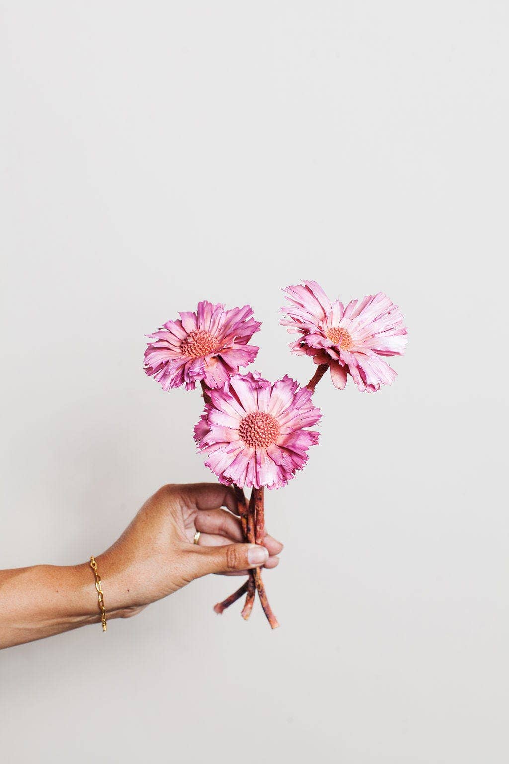 Pink Dried Protea Rosettes IDLEWILD