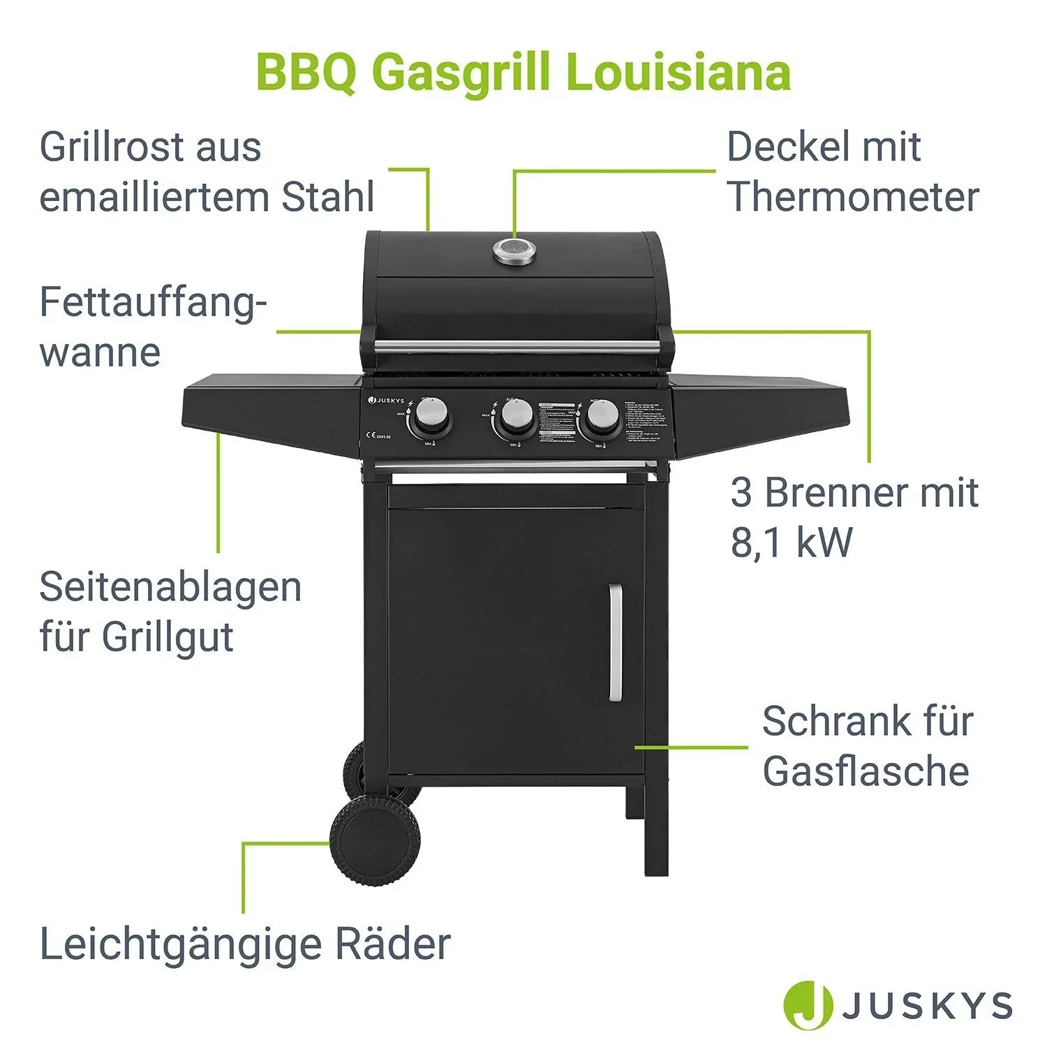 2026 Barbacoa de gas Louisiana
