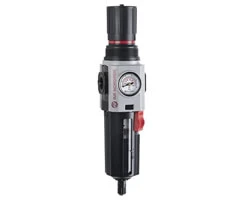Norgren B84G-4AK-QP3-RMG, Excelon Plus filter/regulator, 1/2