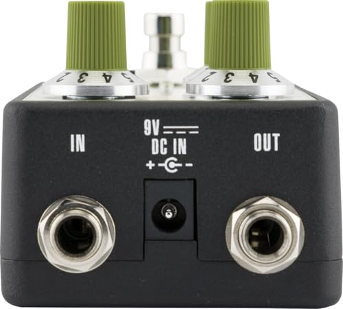 Fender Bassman Reverb Effetti Pedale : Strumenti Musicali