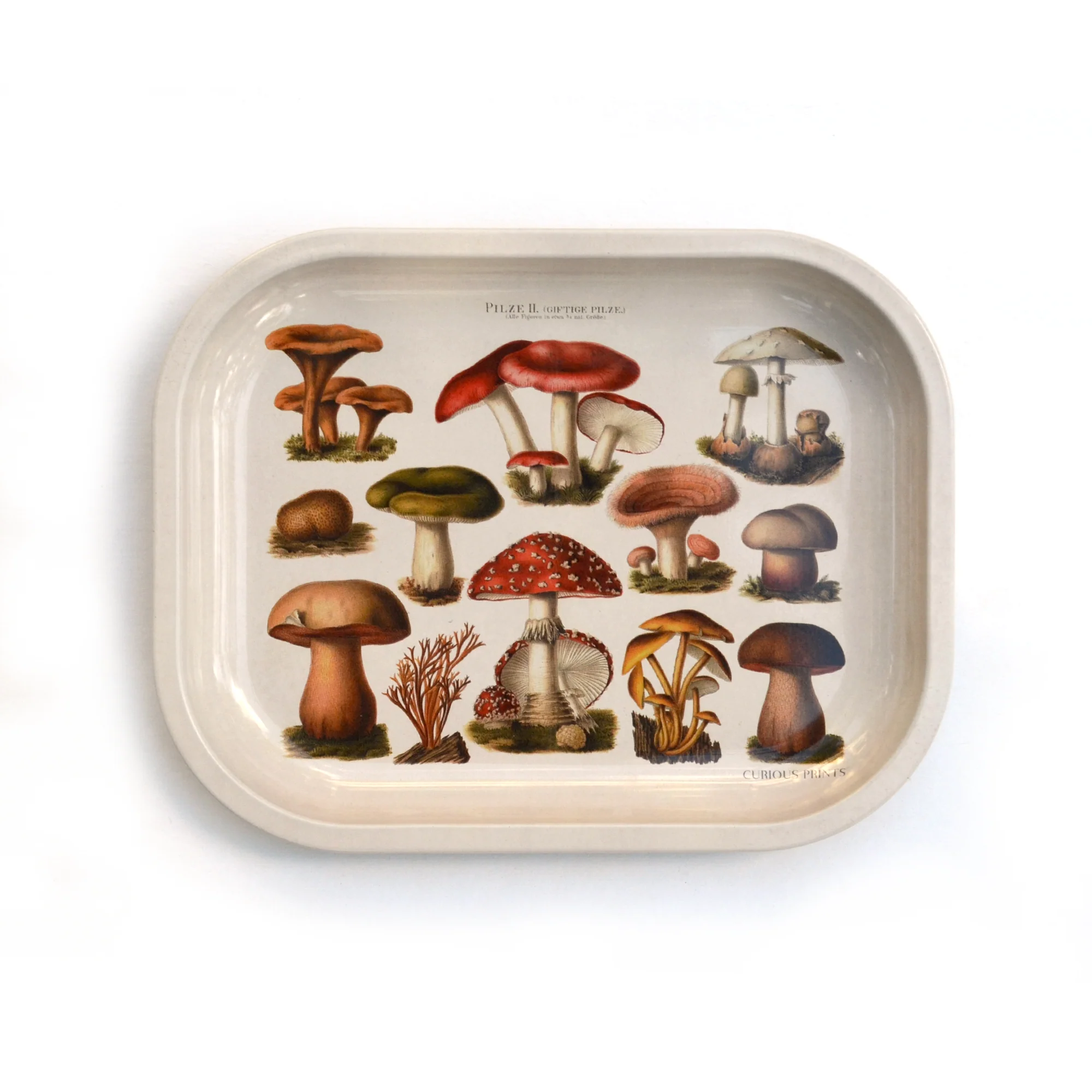 Small Metal Tan Mushroom Ritual Tray / Vintage Illustration