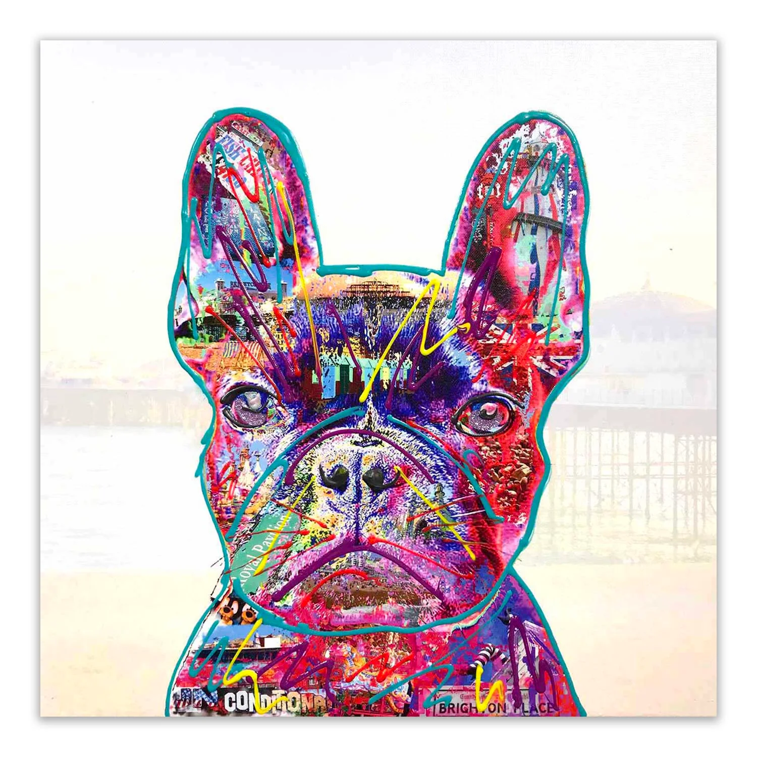 Brighton Frenchie
