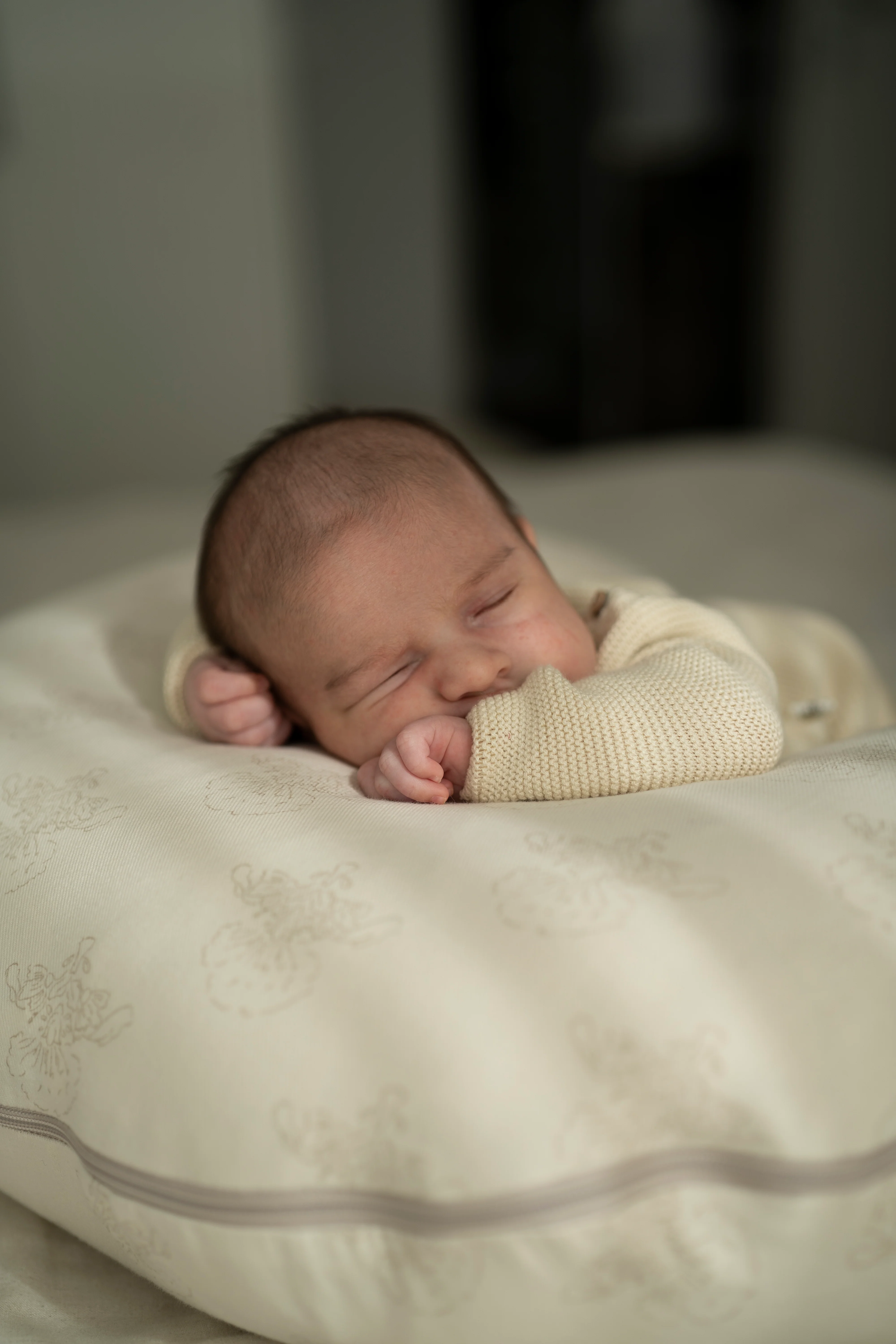 Funda coj��n lactancia Ren��