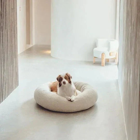 Luxury Boucle Dog Bed