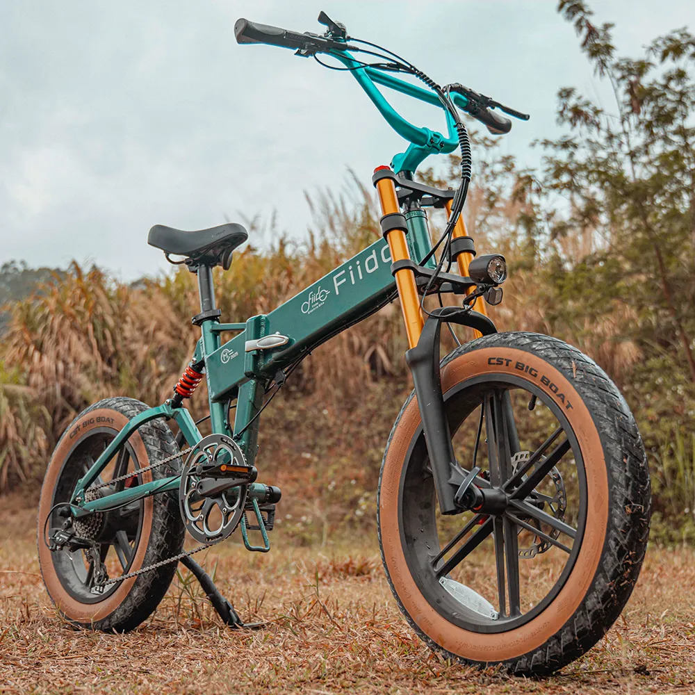 2025 Fiido M1 Pro Bicicleta eléctrica Big Wheel Fatbike