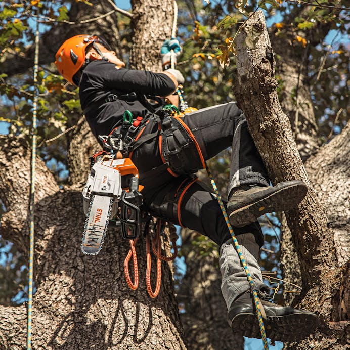 STIHL MSA 220 TC-O Top Handle Chainsaw