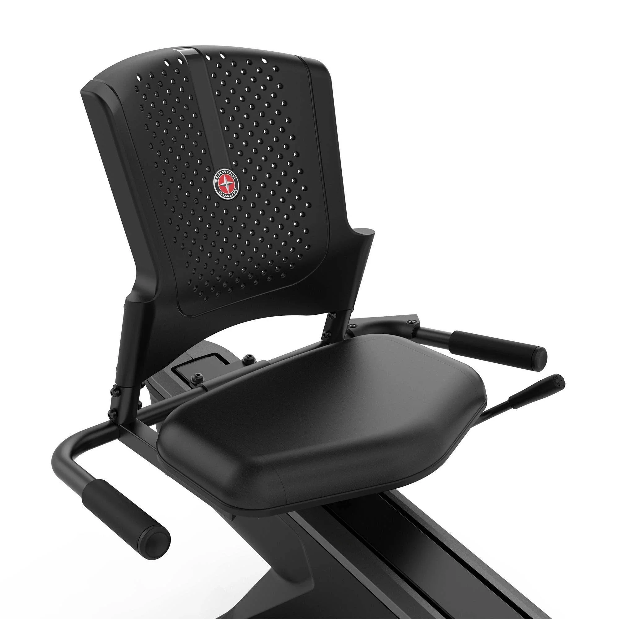 Schwinn 290 Recumbent Bike