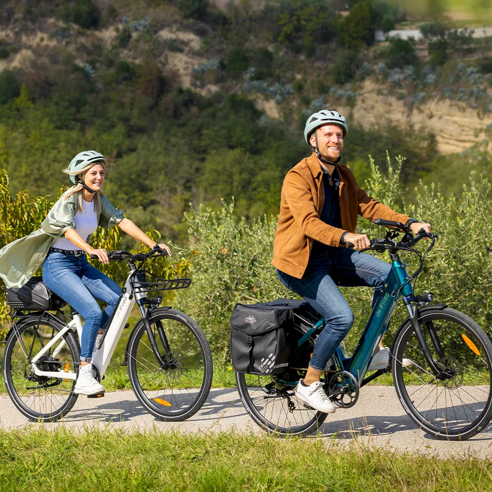 2025 Fiido C11 E-Bike urbano leggero