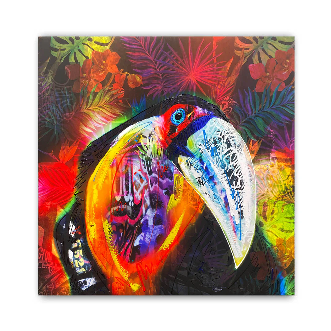 Funky Toucan