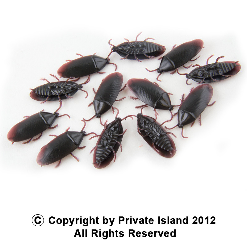 Fake Roaches 12 PACK 9026