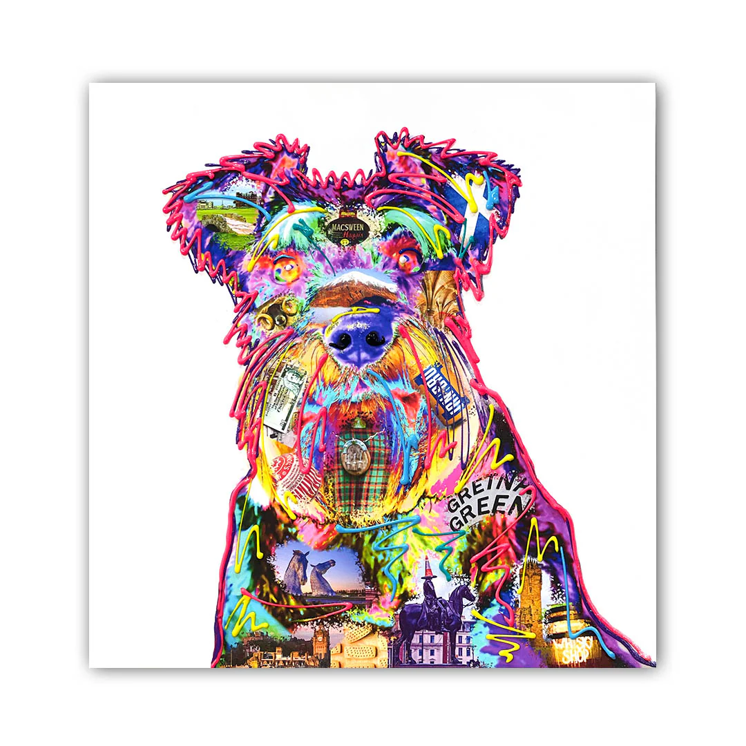 Scottish Schnauzer