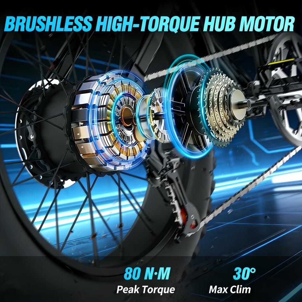 BK20 Electric Bike for Adults, 48 V, 20 Ah, Removable Battery, Large Range, Wide Tyres 20 x 4.0, Electric Mountain Bike, Electric Bike, All-Terrain Electric Bike.