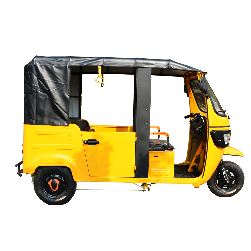 Electric tricycle DAYANG-Bajaj