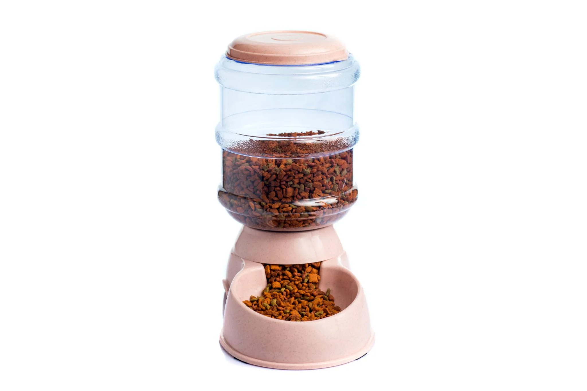 Automatic Pet Feeder for Hassle-Free Daily Feeding