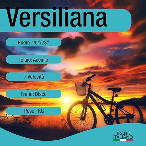 Versiliana Biciclette Vintage Resistene Perfetta
