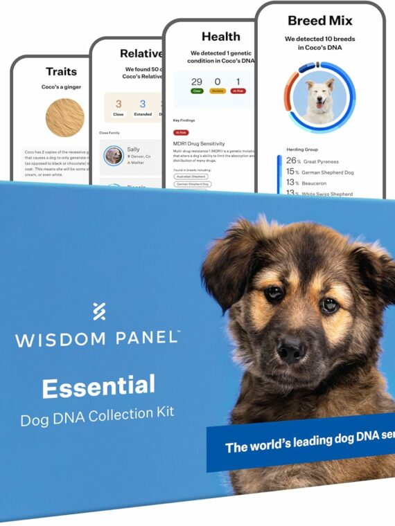 Wisdom Panel Essential Dog DNA Kit: Most Accurate Test for 365+ Breeds  30 Genetic Health Conditions  50+ Traits  Relatives  Ancestry �C 1 Pack