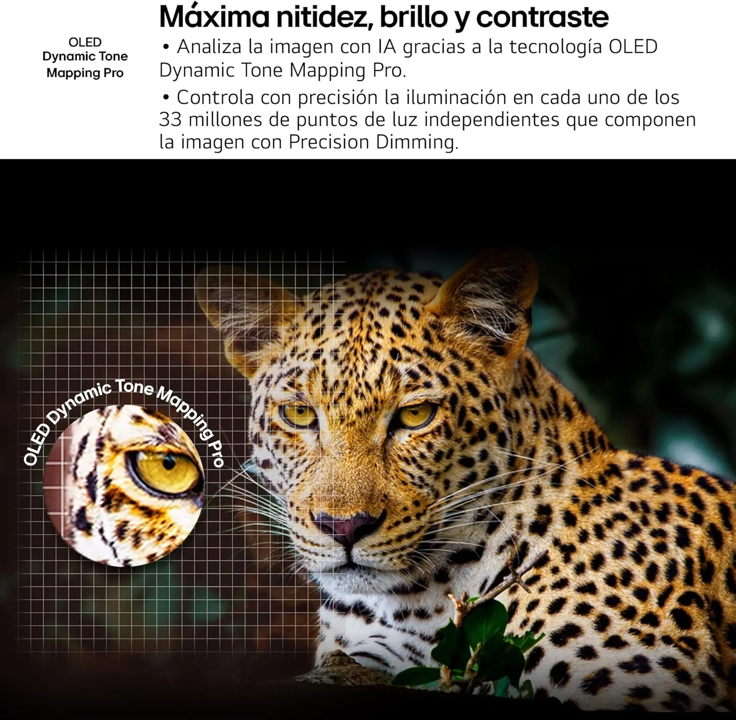 2026 OLED48C54LA - TV 48