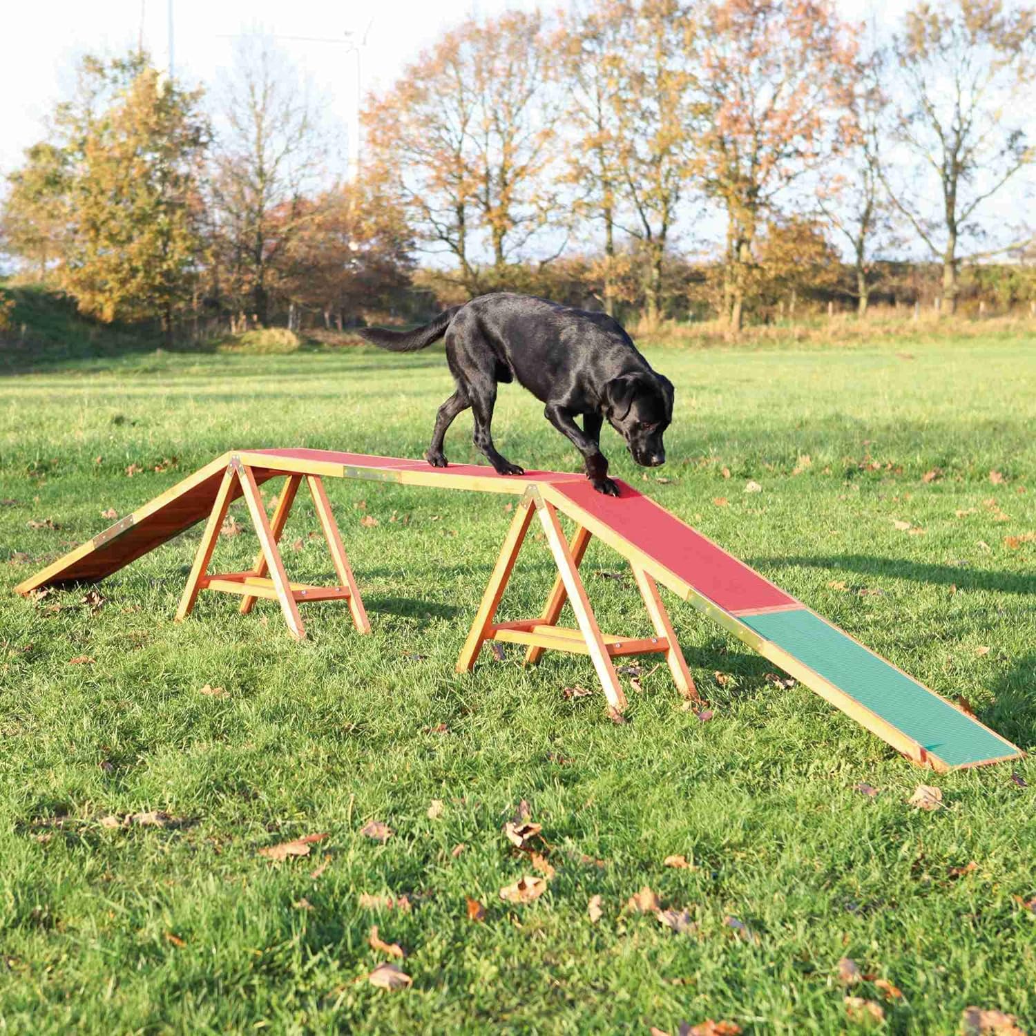 TRIXIE Dog Agility Dogwalk, Canine Agility Training, Obedience Training