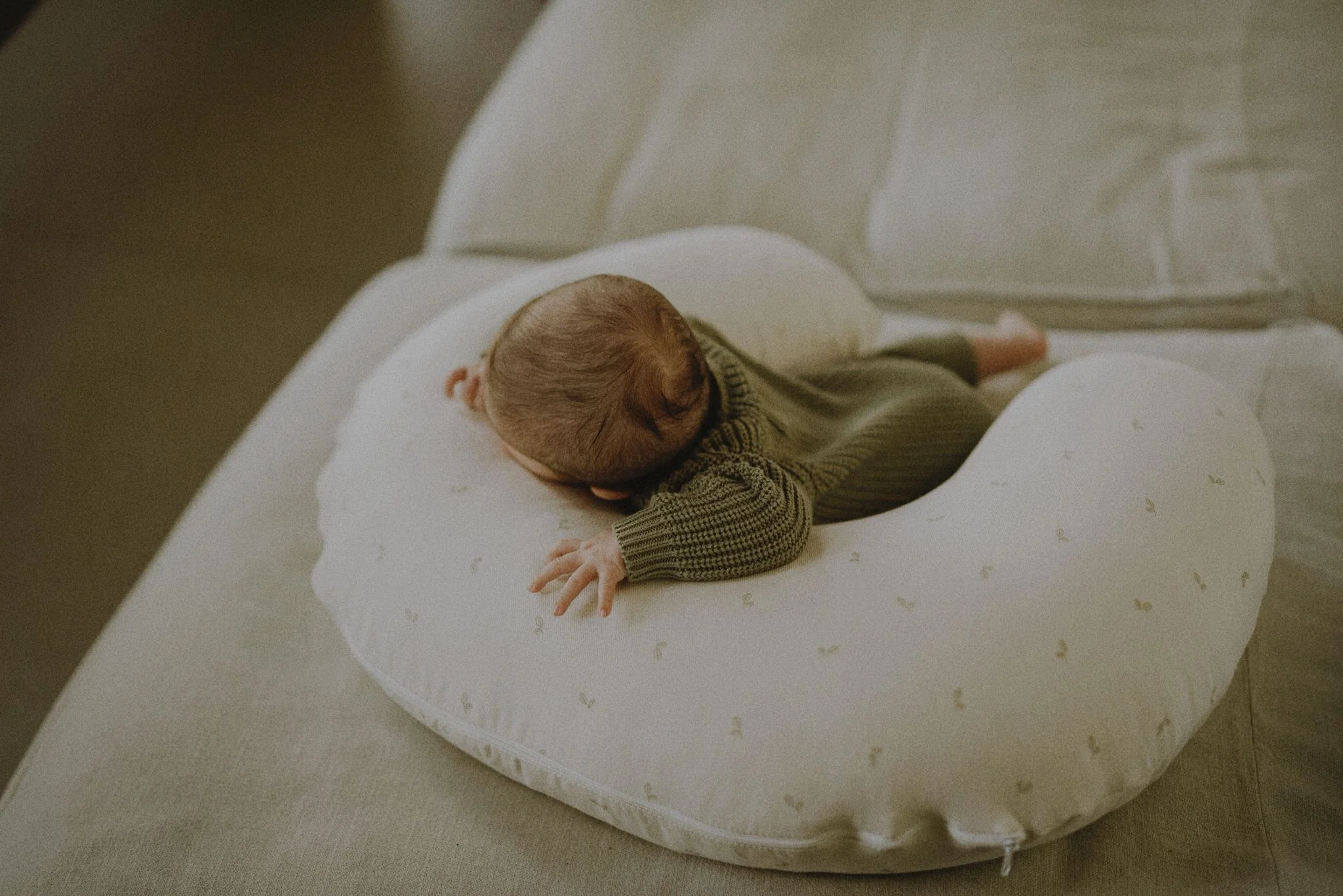 Funda coj��n lactancia oliva